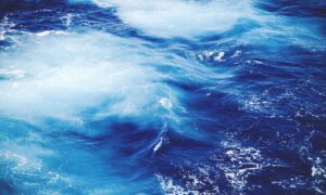 cilxarhu677 moisturizer