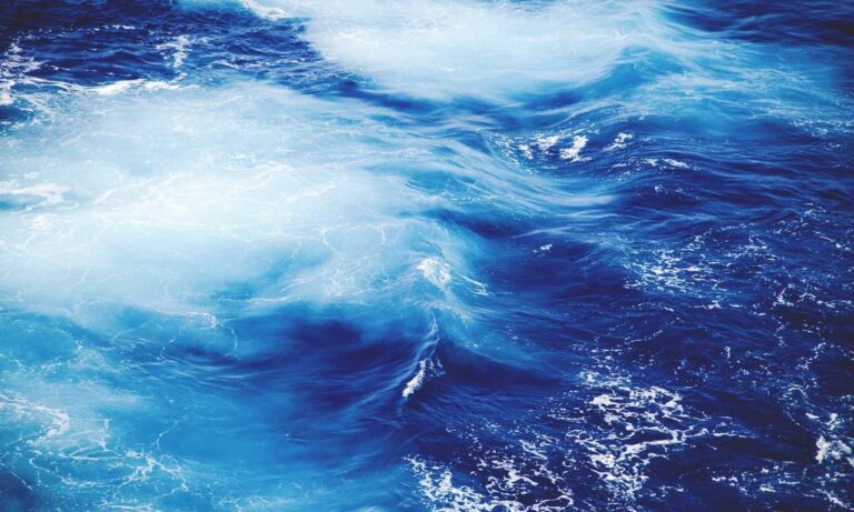 cilxarhu677 moisturizer