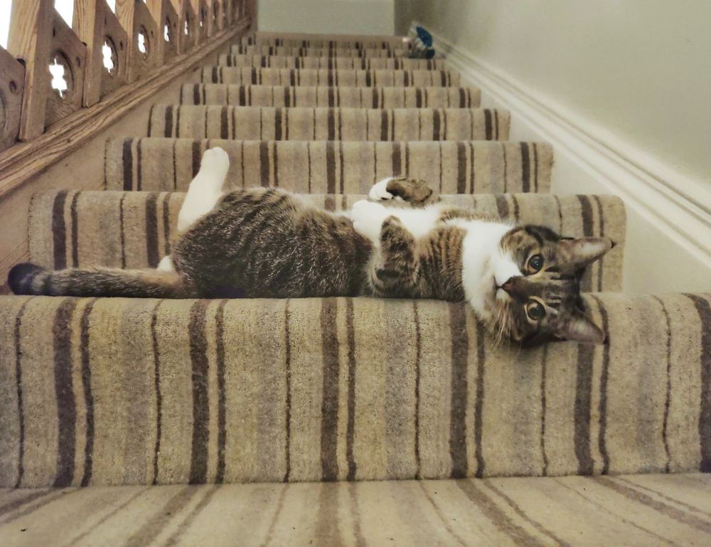 codes error rcsdassk