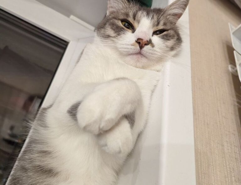 fashion tips lwspeakstyle