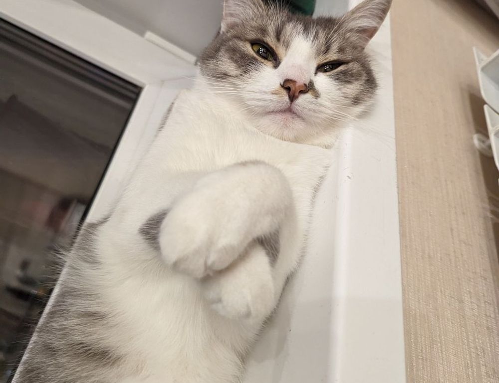 fashion tips lwspeakstyle