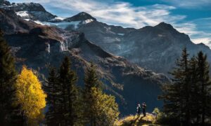 how much does the 493xds5.0 software cost