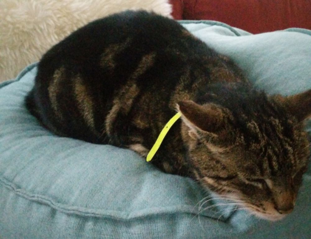 how to install freedoor2.4.6.8