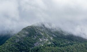 software error rcsdassk