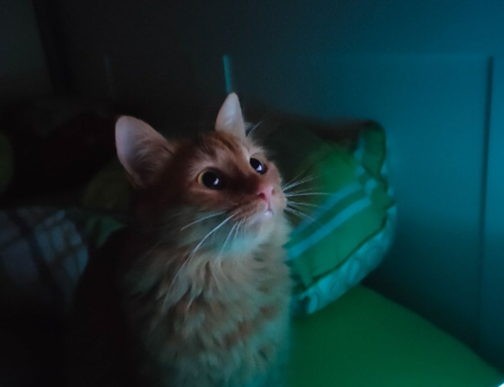 upgrade oxzep7 python