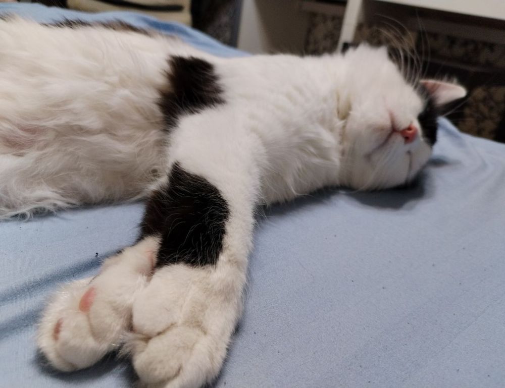 ustudiobytes release version