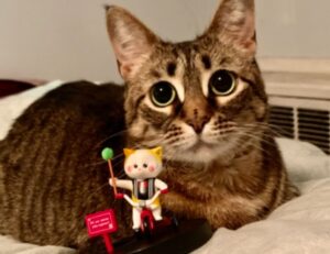 ustudiobytes release version