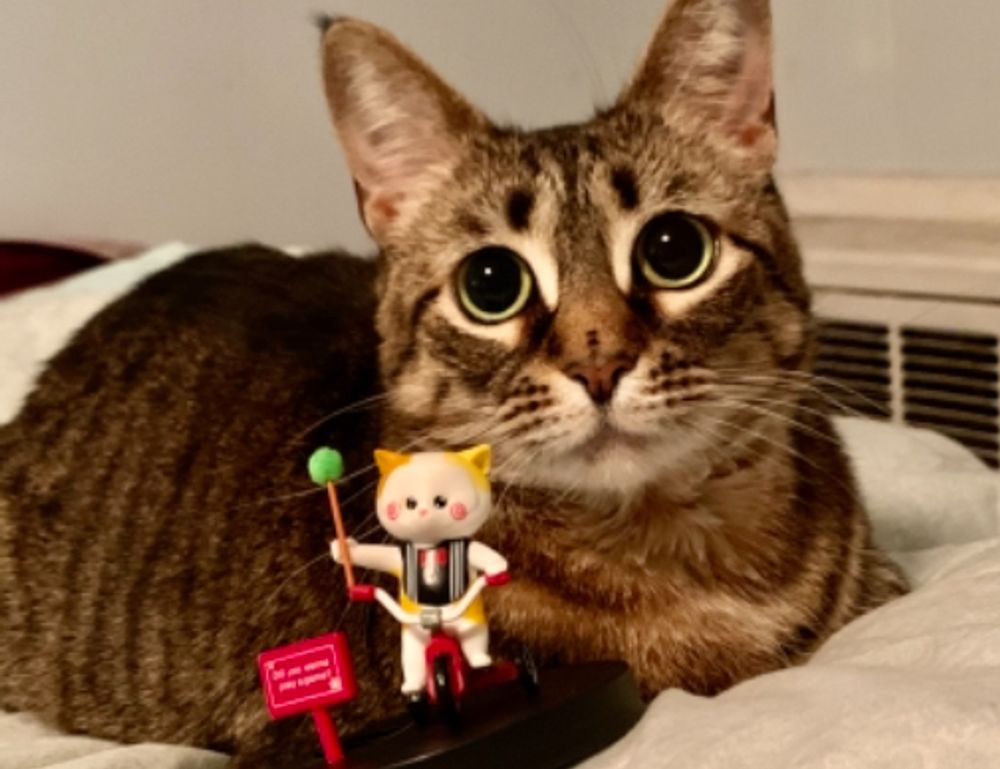 ustudiobytes release version