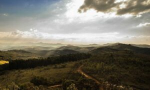 ways to use uhoebeans software