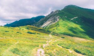 ways to use uhoebeans software