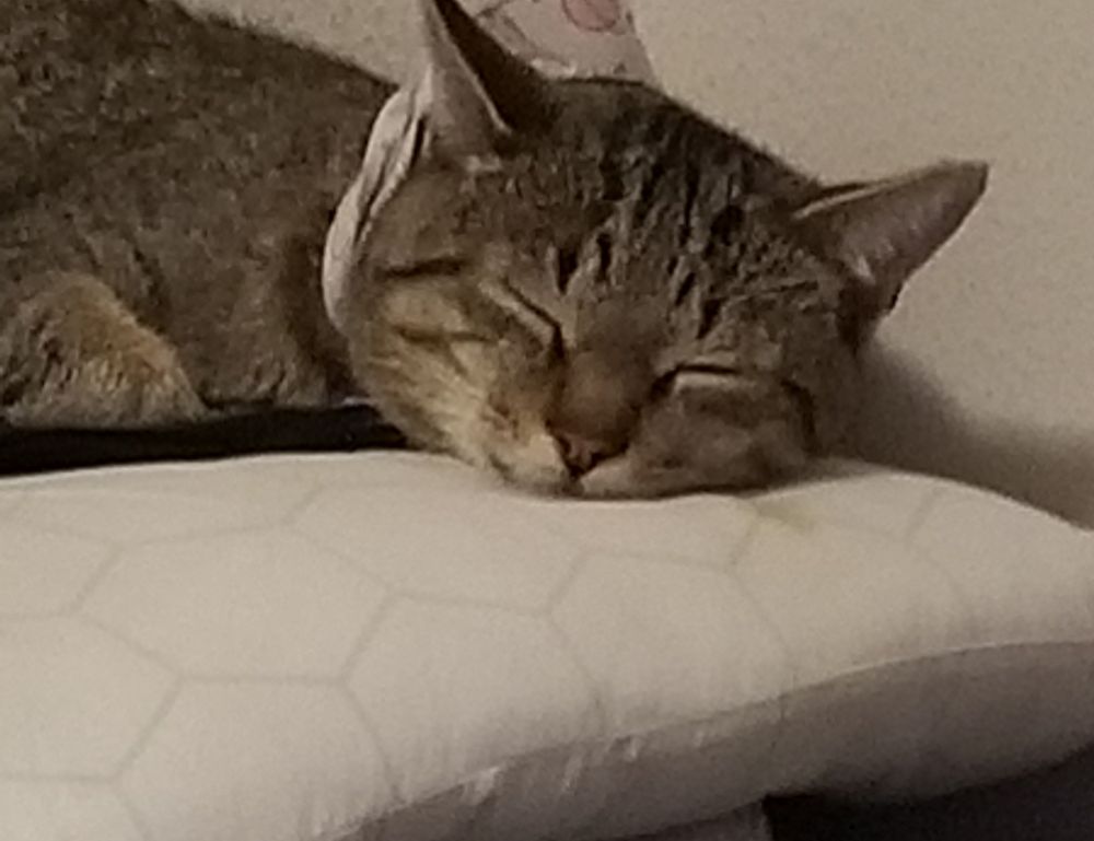 what is interesting about beevitius islands