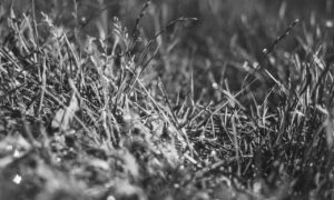 where to download ustudiobytes