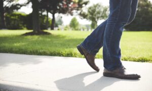 zopalno number flight