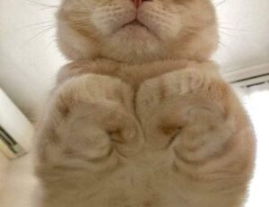 lwspeakfashion fashion advise from letwomenspeak