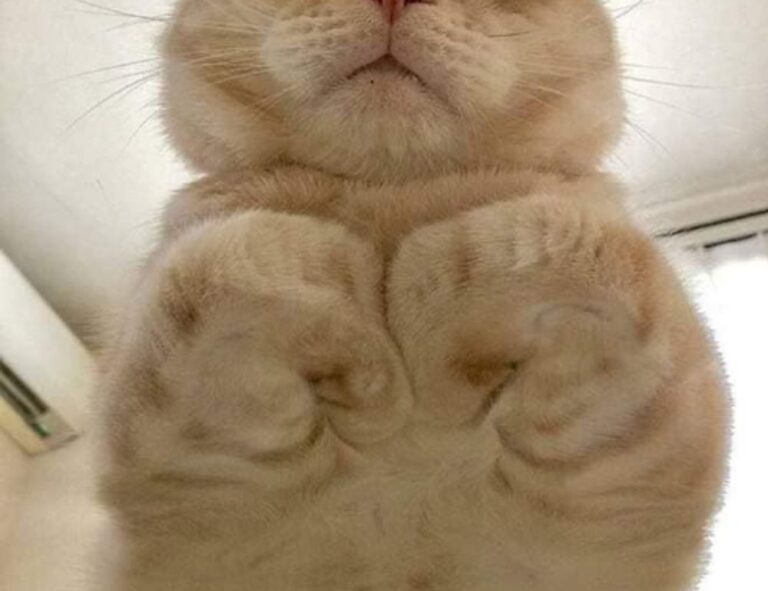 lwspeakfashion fashion advise from letwomenspeak