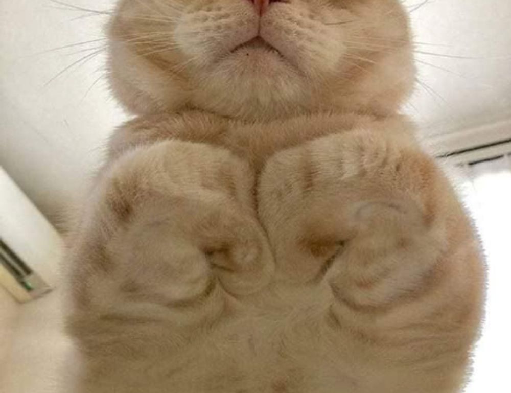 lwspeakfashion fashion advise from letwomenspeak