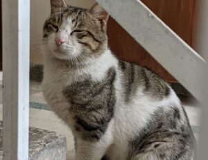 what fashion trends are popular lwspeakfashion