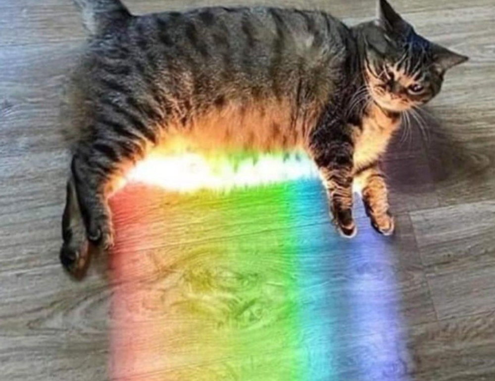 which fashion style am i lwspeakfashion