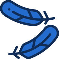 048-feathers-D5YNVGR.png