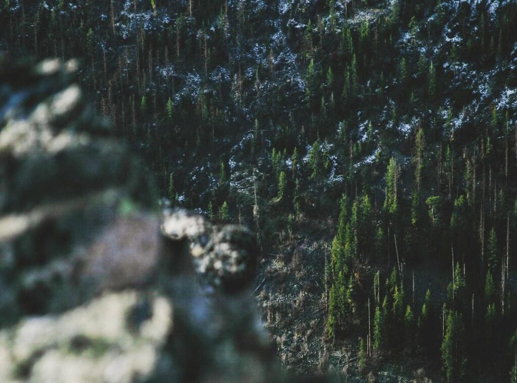 al-taawon - al nassr opstellingen