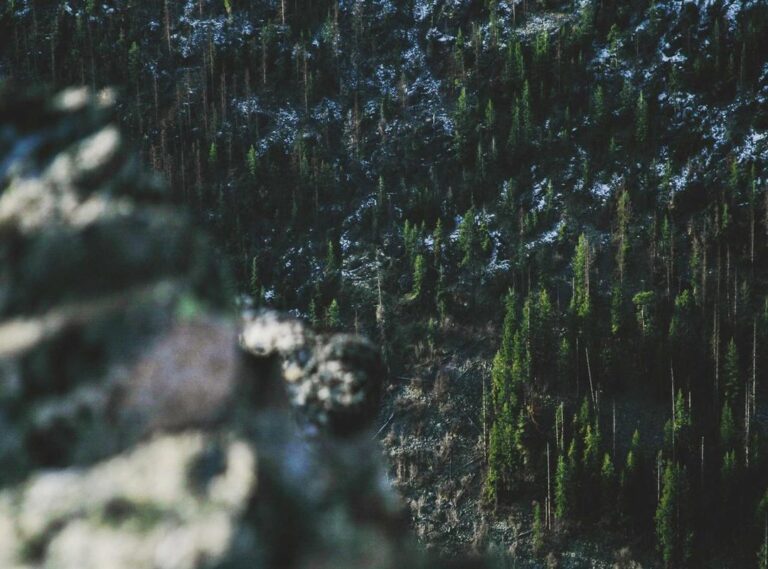 al-taawon - al nassr opstellingen