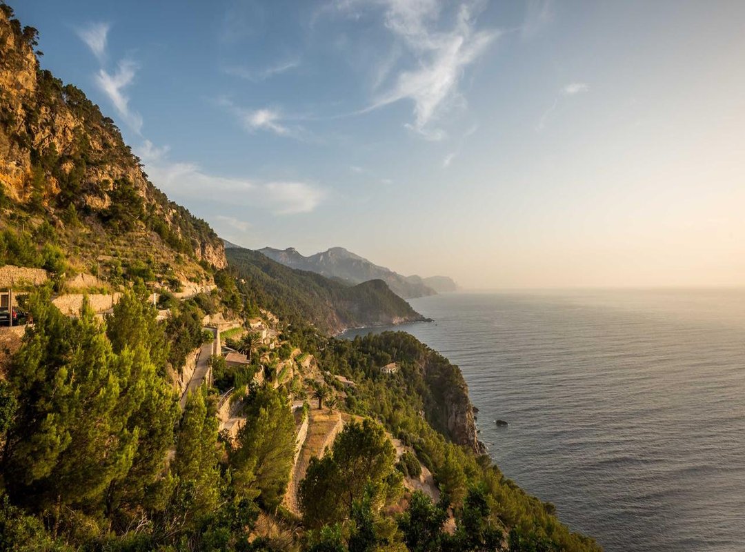 The Psychology of Appeal: Why We Connect With These Characters