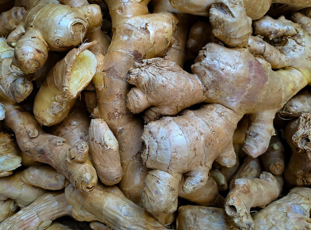 The 4 Key Factors Driving Daily Ginger Price Fluctuations
