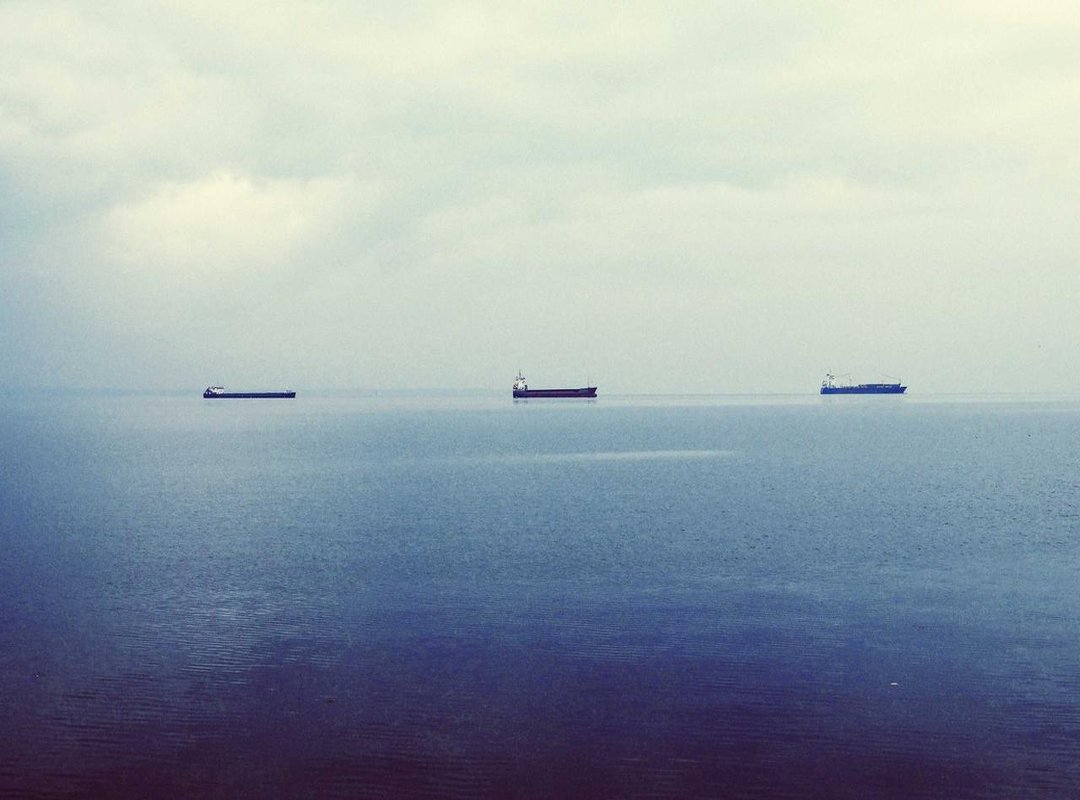 The Music Behind the Meme: A Closer Look