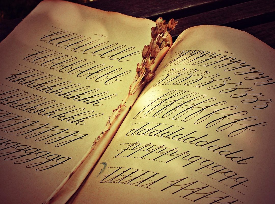 Examples of Gardevoir Backshots