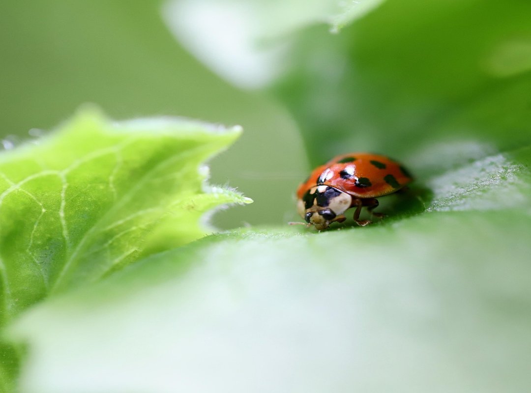 How to Recover From Drugs Jexplifestyle