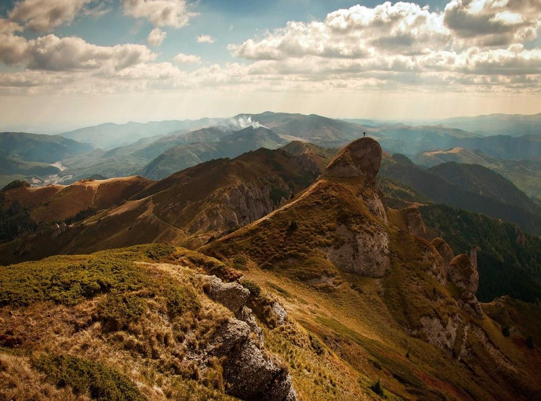 Examining the Evidence: Operations, Donations, and Statements