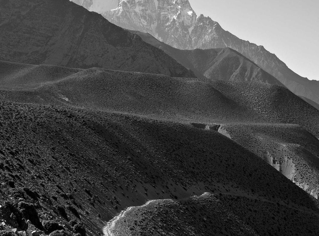 Common Themes from Reviews: What People Actually Say