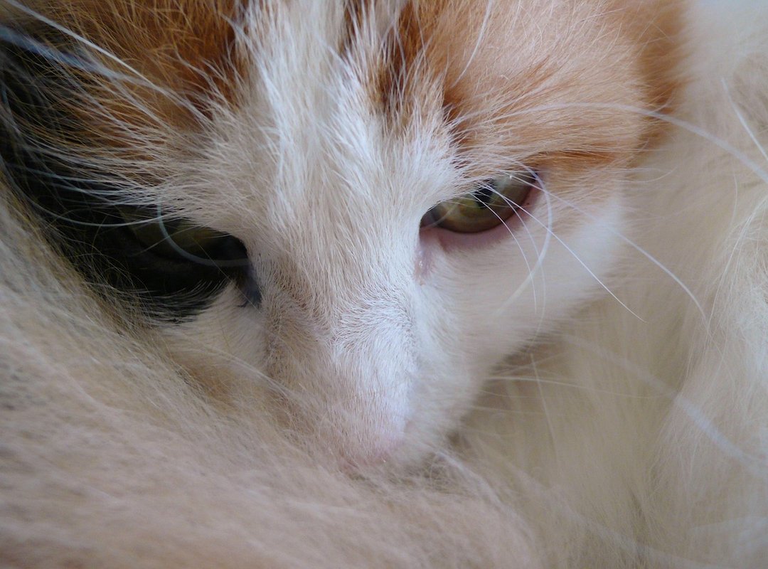 How to Stay Updated on Liza Baez's Career