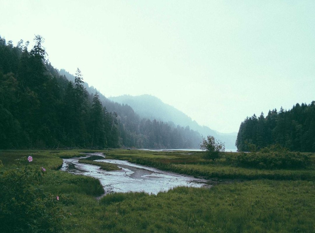 Spotlight: Her Most Discussed and Influential Videos