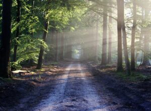 Path to Sobriety Jexplifestyle