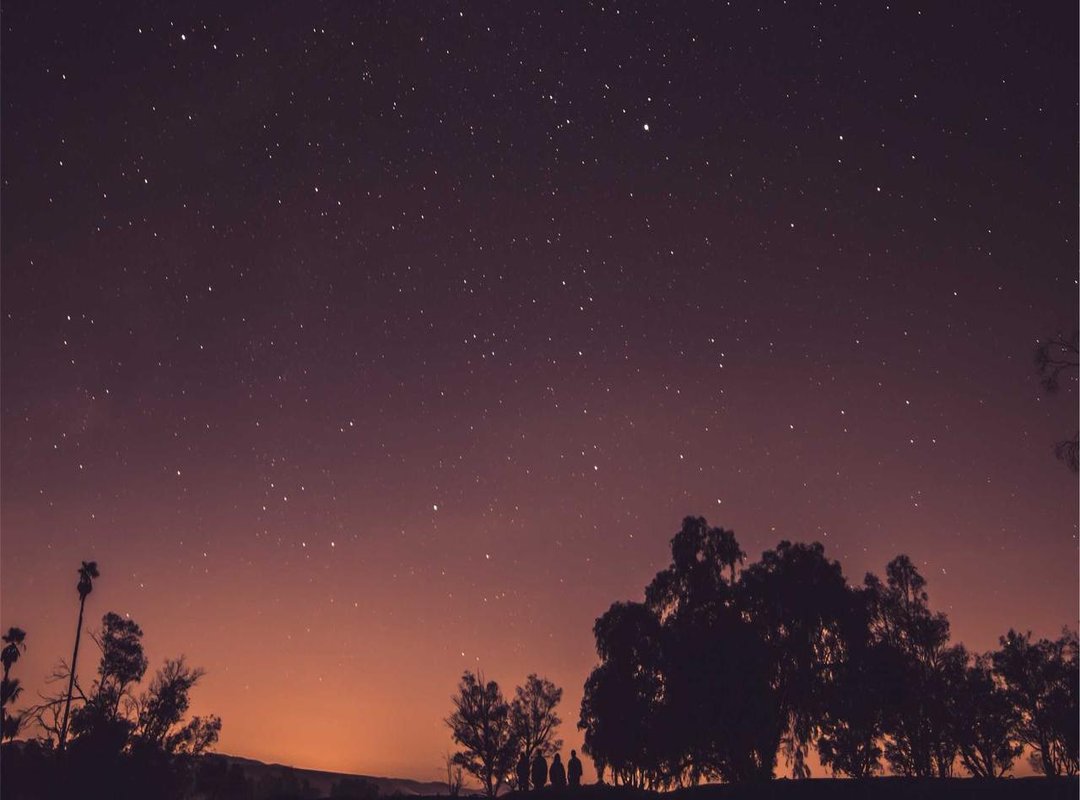 On Screen and On Stage: A Look at Randy Pangalila's Career