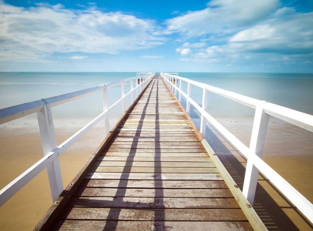 Memes, Jokes, and Debates: How the Public Reacted