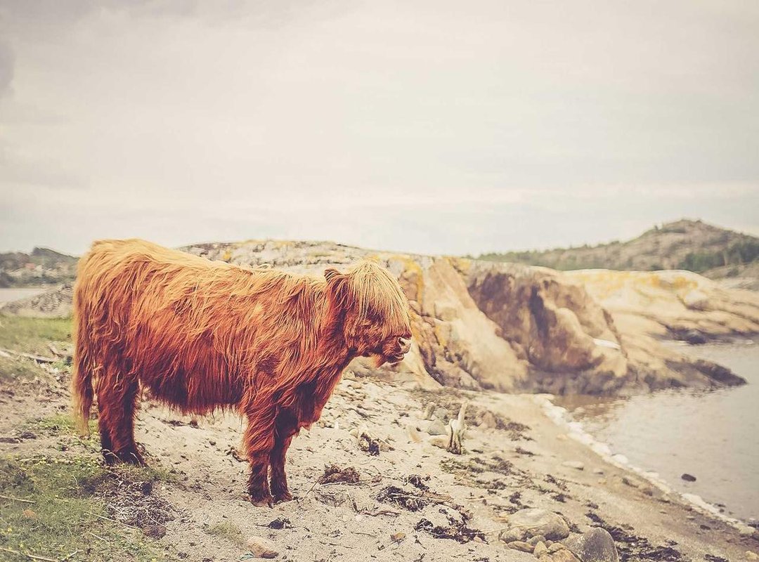 Discover a World of Indonesian Music: From Pop to Dangdut